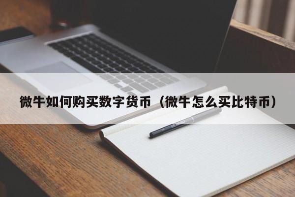 微牛如何购买数字货币（微牛怎么买比特币）