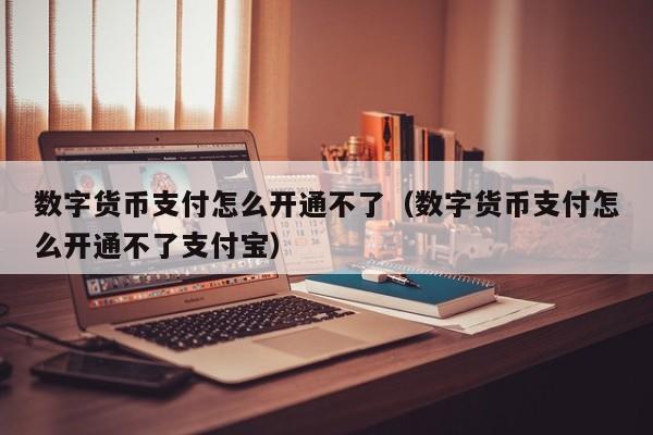 数字货币支付怎么开通不了（数字货币支付怎么开通不了支付宝）