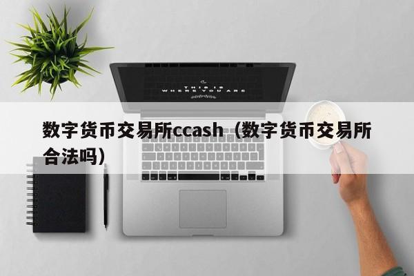 数字货币交易所ccash（数字货币交易所合法吗）