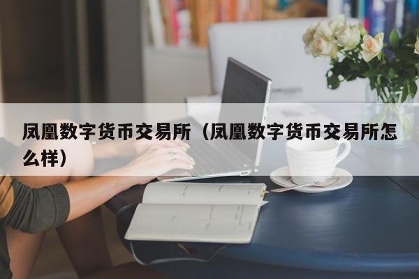 凤凰数字货币交易所（凤凰数字货币交易所怎么样）