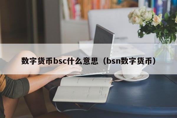 数字货币bsc什么意思（bsn数字货币）